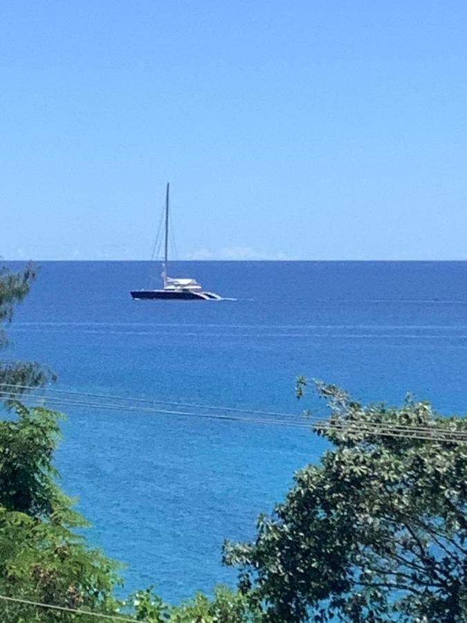 Epea Ocean View Apartment Tortoise Machabee Εξωτερικό φωτογραφία